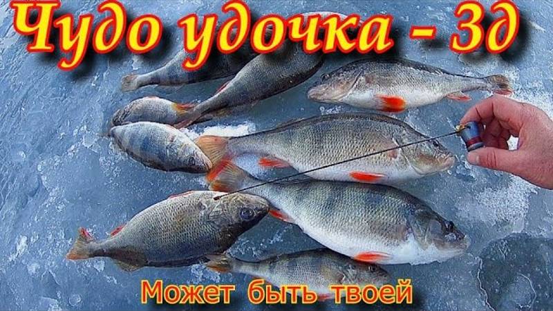 КАК ЖЕ ОНА ЛОВИТ . ПЕРВЫЙ ЛЁД зимняя удочка без кивка. теперь вся рыба моя рыба окунь