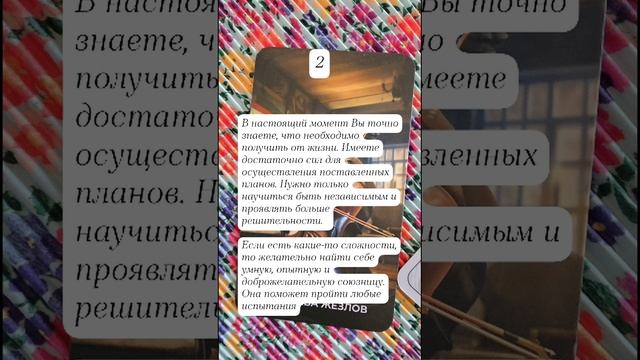 #впустимагию #созпифтаро #общеенаданиетаро