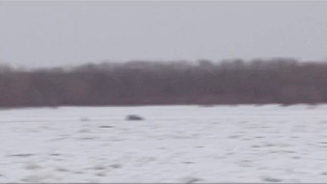 Люди рискуют жизнью 😳