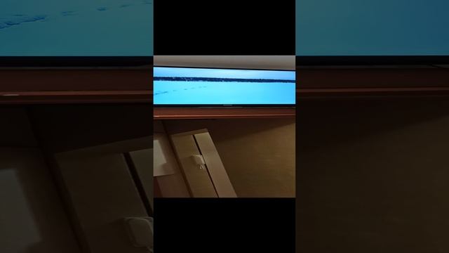 Мурка смотрит видео про рыбалку на Ютубе, канал Максима Гринюка "Max stingrei"
