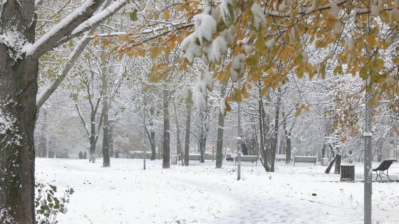 В Москве впервые за восемь лет 4 ноября выпало шесть сантиметров снега