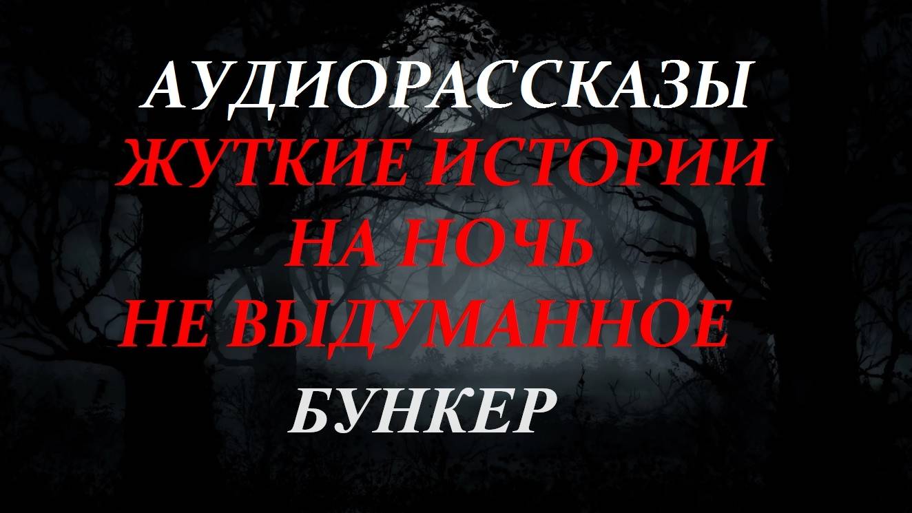 СТРАШНЫЕ РАССКАЗЫ НА НОЧЬ-БУНКЕР