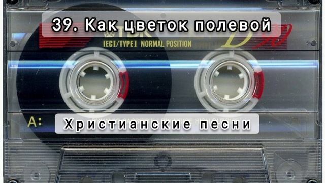 039 Как цветок полевой