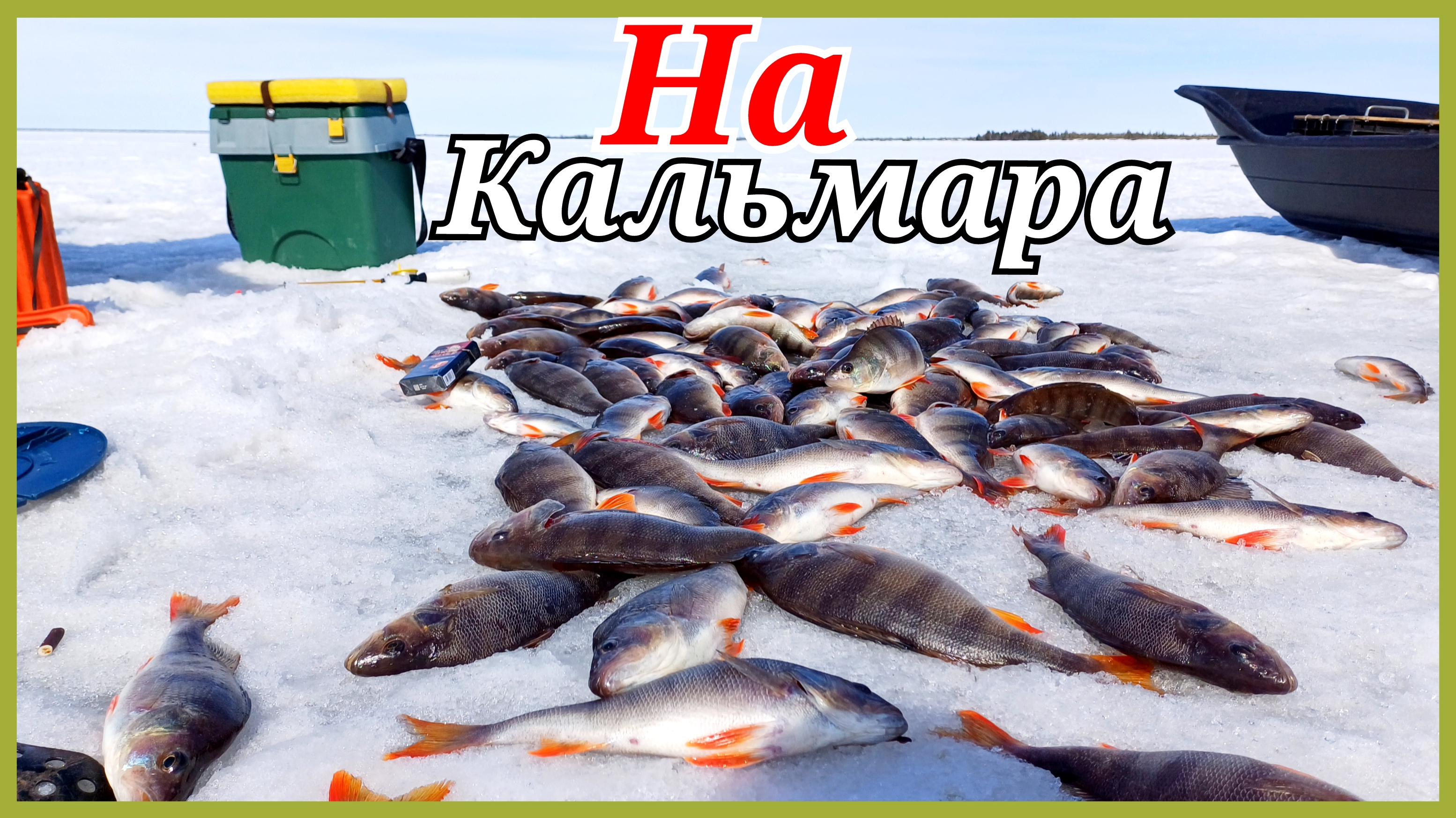 Окунь сошел с ума от этой наживки.