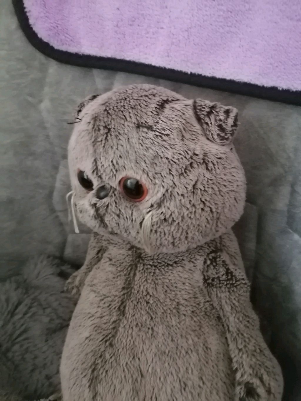 трансляция 2