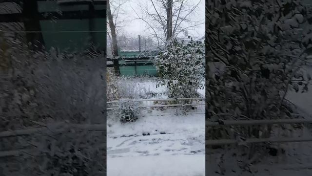 играю в прятки с хозяином