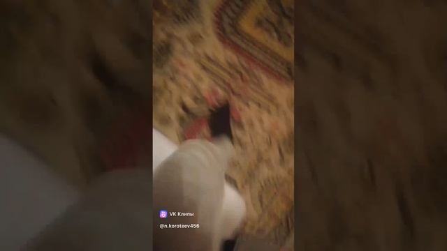 Видео из тик-тока