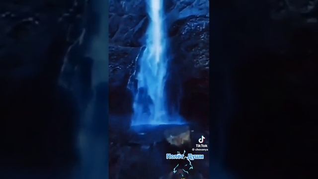 1000004407.mp4
"Ты - весь мой Мир!.. ". Читает Ю. Минаева.