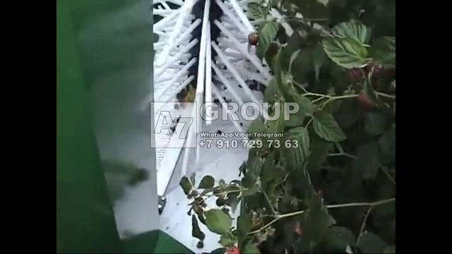 КОМБАЙН САМОХОДНЫЙ ДЛЯ СБОРА ЖИМОЛОСТИ (СБОР АНАЛОГИЧЕН МАЛИНЕ)
