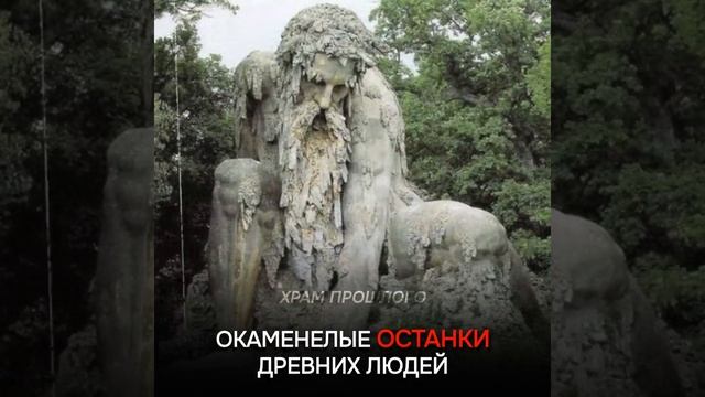 Зрам3р2п12.mp4