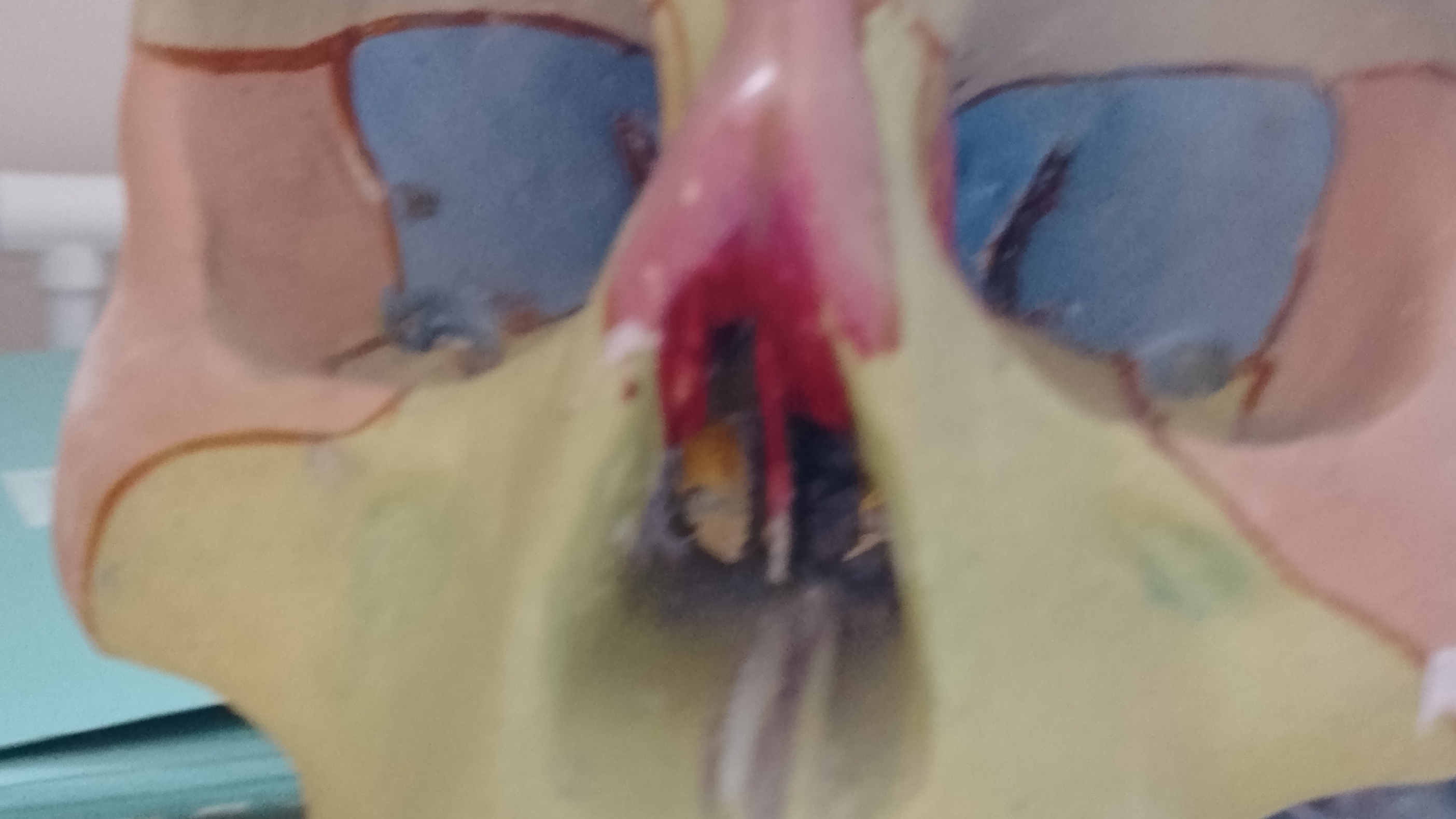 хочу я сделать вам интересное видео А тут!😲😲😲😲