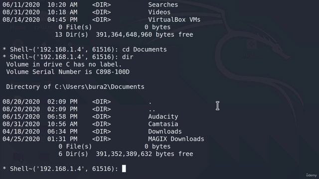 49 Command Testing Mastery： Comprehensive Testing of All Commands with Python