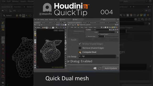 Houdini Quicktip 004 Quick Dual mesh
