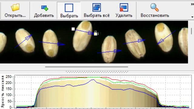 ГРАН: Профиль 1.0.1 (2006)