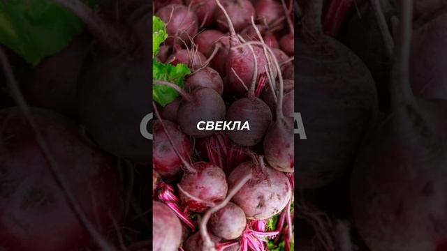 Топ-5 продуктов