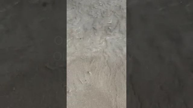 Мальдивы. Maldives. 马尔代夫。