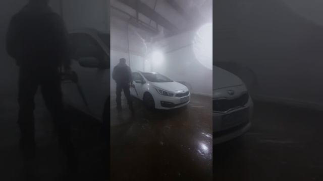 Моим CEED