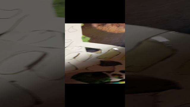 1000004829.mp4