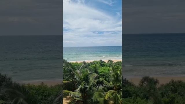 SriLanka 4  ноября 2024 год. Пляж отеля у Индийского океана.