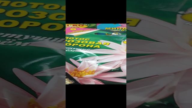 Экзотика дома и на даче