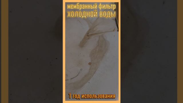 Мембранный фильтр через год