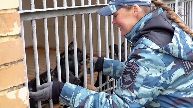 Видеоролик о предприятии и профессиях (6-7 класс). Россия — мои горизонты (7 ноября)