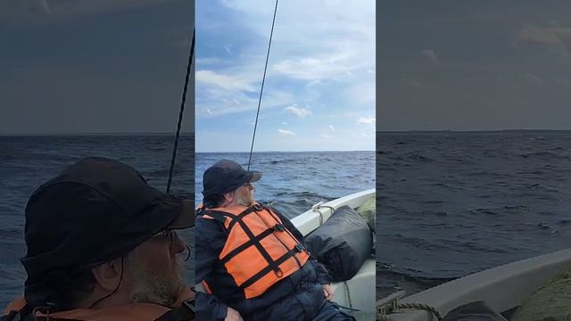Ладога. ИЛАКС. Бобовый тур, семидневка (1-7.07.2024). Видео от Никиты Русак
Часть 1.