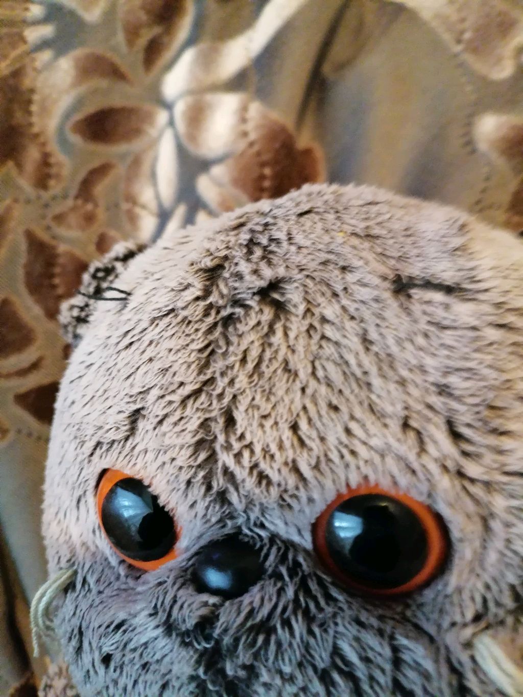 новая трансляция