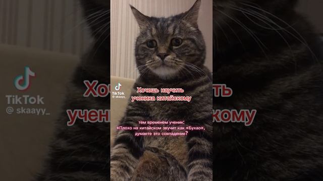 Выучить китайский не так просто, как вы могли бы себе представить!