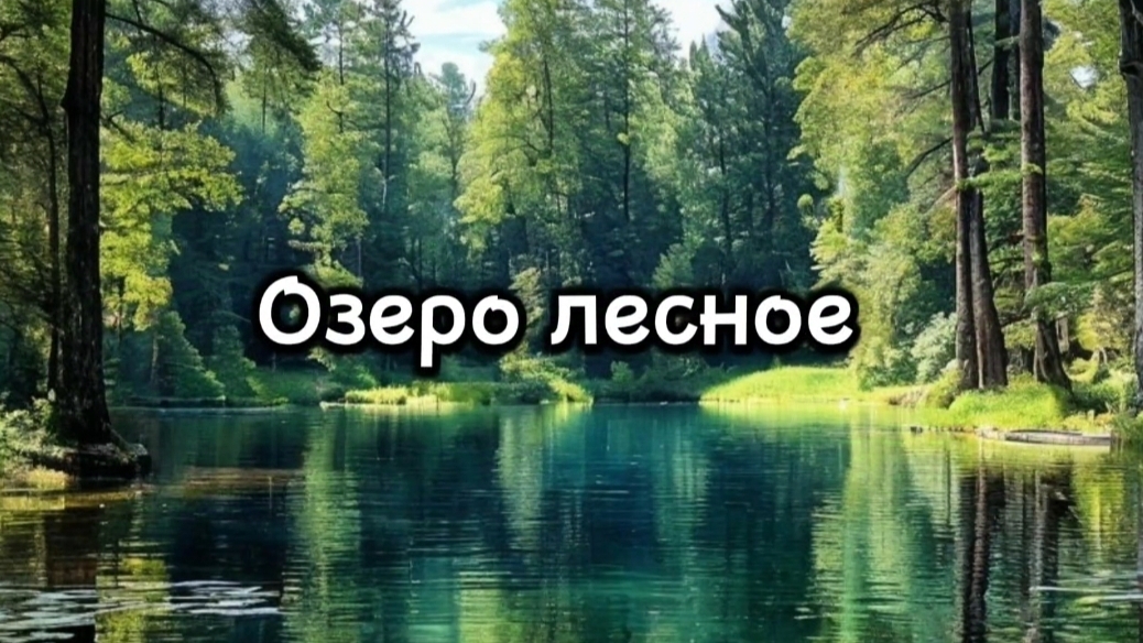 Озеро лесное