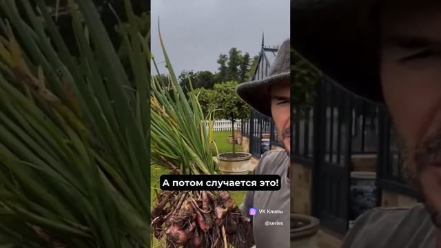 Как мы возвращаемся к истокам❤🌟👍🌎 #земля