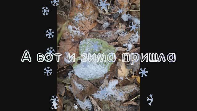 Первый снег