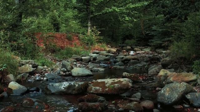 Когда в отношениях вы начинаете платить собой