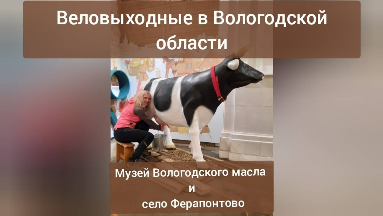 Веловыходные в Вологодской области. Музей масла и село Ферапонтово.