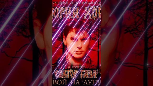 YouCut_20241104_151951441.mp4