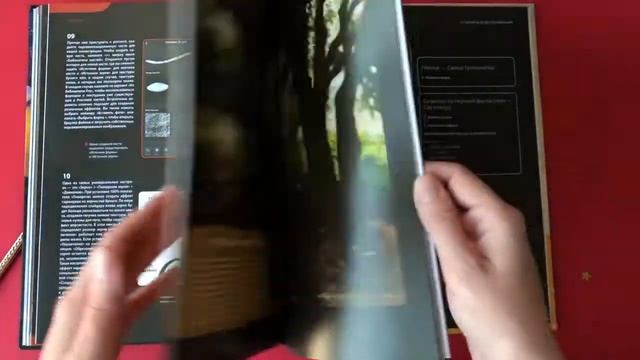 Книга Procreate. Учимся создавать шедевры на iPad. Обзор от профессионального иллюстратора