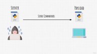 42 Unveiling the Power of Server and Payload: A Dive into Python Code Execution