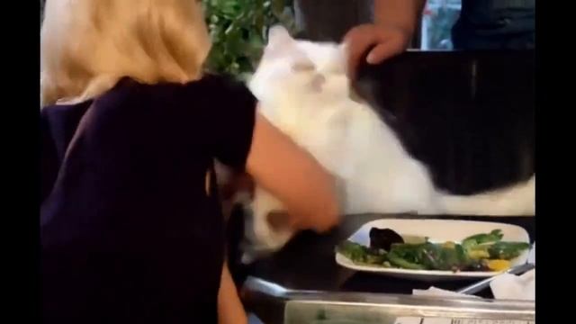 Нейросети показали развязку мема, которую мы все так ждали