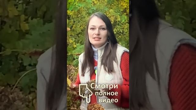 ЗАБЛУЖДЕНИЕ ВЕКА Чем удобрить деревья осенью