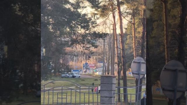 Беларусь. Орша. Снегом и не пахнет.#shorts