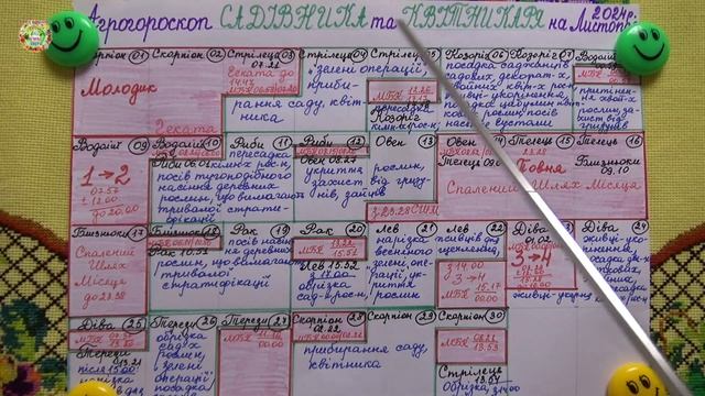 НОЯБРЬ 2024: ЕСТЬ ЛИ ЕЩЕ ВАЖНЫЕ ДЕЛА В САДУ, НА ЦВЕТНИКЕ?