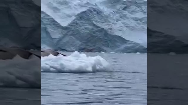 УПС...Я ЛЬДИНКОЙ ОШИБСЯ😂😂😂