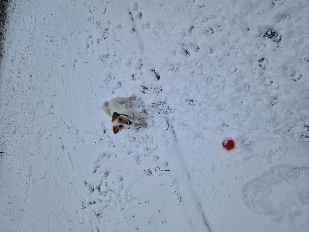 Играем в мячик