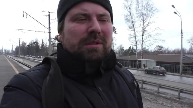 Сестрорецкое направление | Январь-март 2019 года