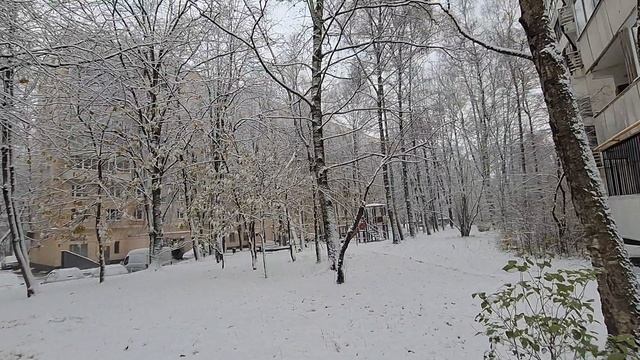 Москва 2024