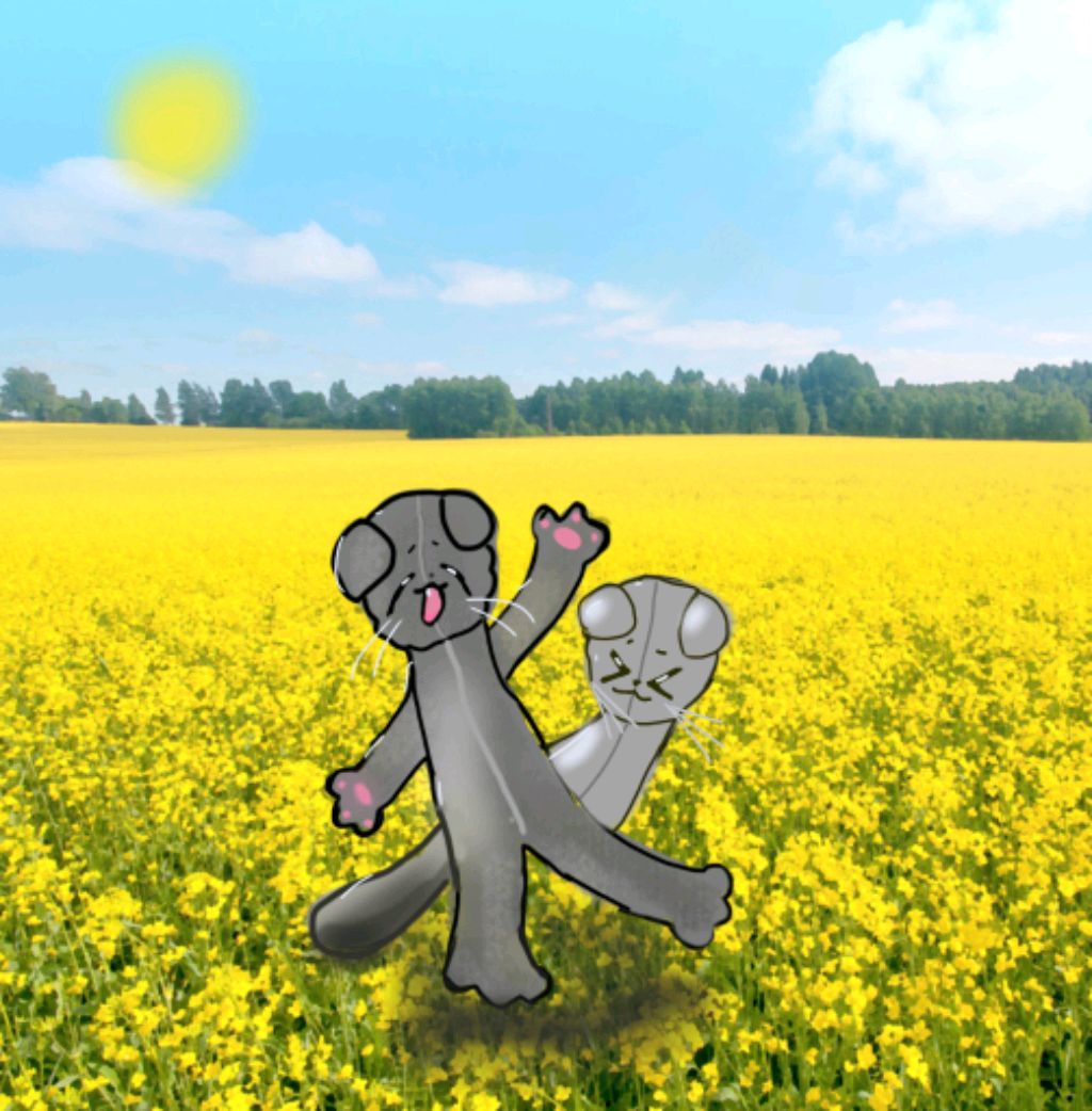 трансляция антосика😆