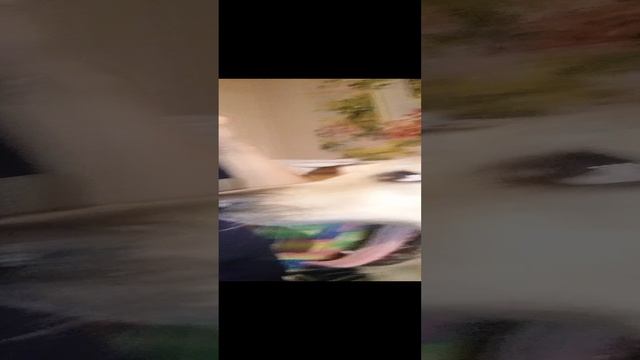Собака-гуляка
