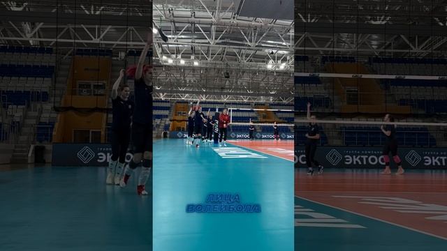 «ТУЛИЦА» ПРОВЕЛА ТРЕНИРОВКУ В МИНСКЕ #shorts #лицаволейбола #волейбол #volleyball #rusvolley #sport