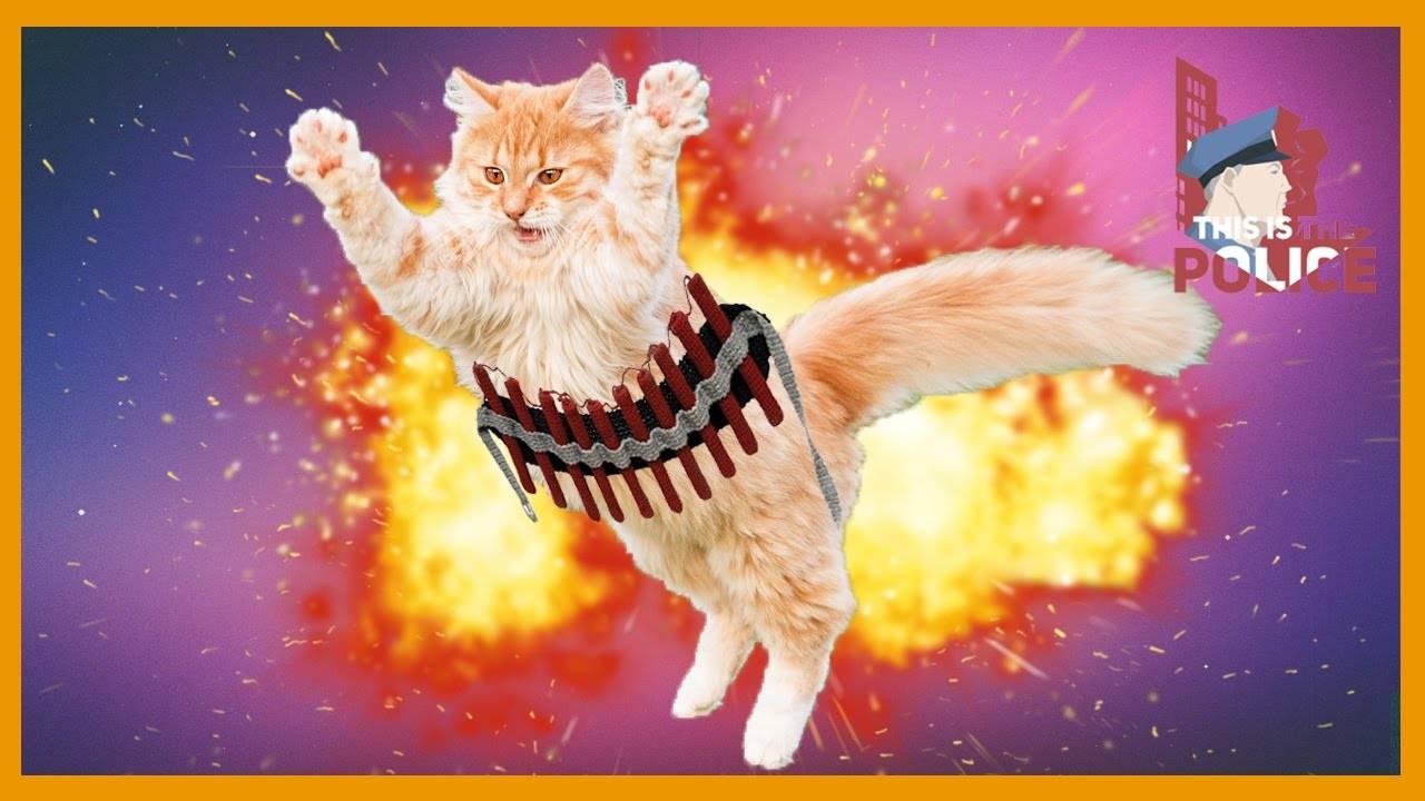 КОТО БОМБА БГ 8 на 8 соло, часть 2