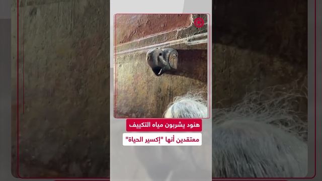 هنود يشربون مياه التكييف الملوثة معتقدين أنها "إكسير الحياة"